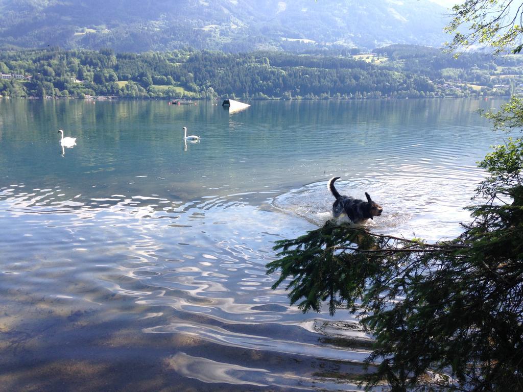 Ruhige Wohnung Mit Schoenem Eigengarten In Seeboden Am Millstaettersee Chambre photo