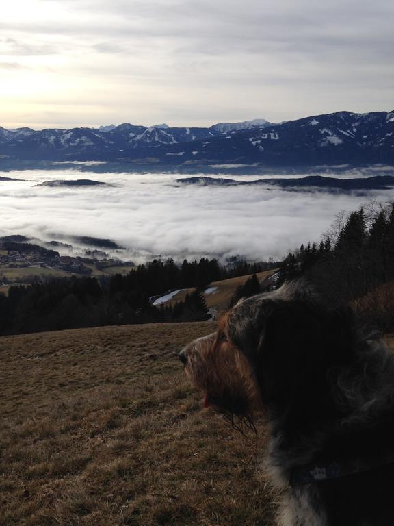 Ruhige Wohnung Mit Schoenem Eigengarten In Seeboden Am Millstaettersee Extérieur photo