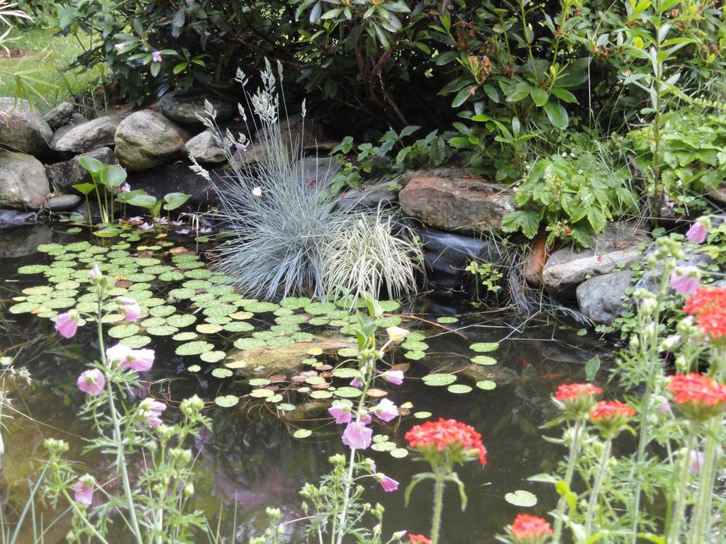 Ruhige Wohnung Mit Schoenem Eigengarten In Seeboden Am Millstaettersee Extérieur photo